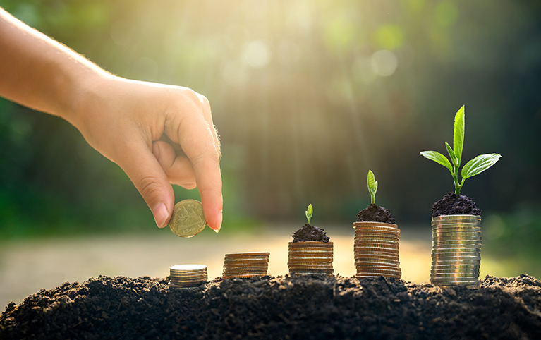 Coin stacks illustrating the  long term investing process