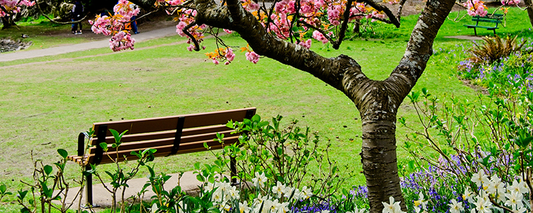 Image of a bench in a park filled with flowers and trees.