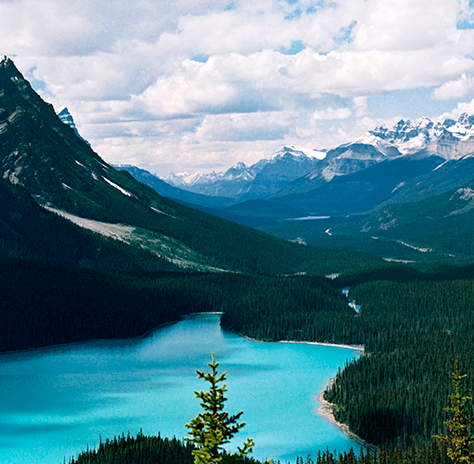 A lake with a forest.