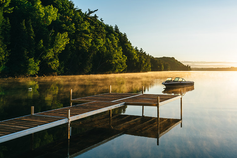 A lake and a forest.