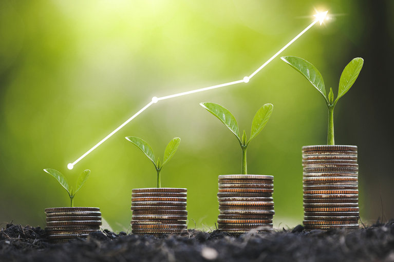 seedling are growing on coins stacked - each stack larger than the last
