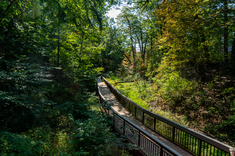 ravine park in the forest with a pedestrian bridge