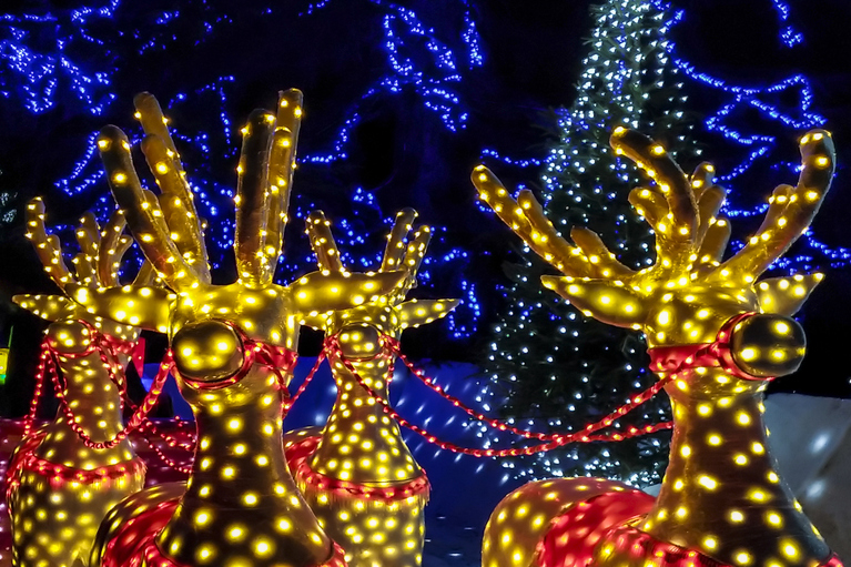 reindeer lit up with holiday lights