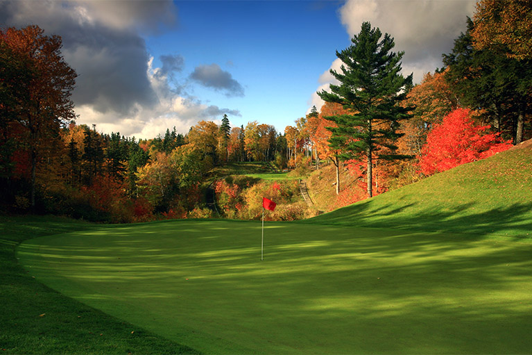 Golfgreen with autumn background
