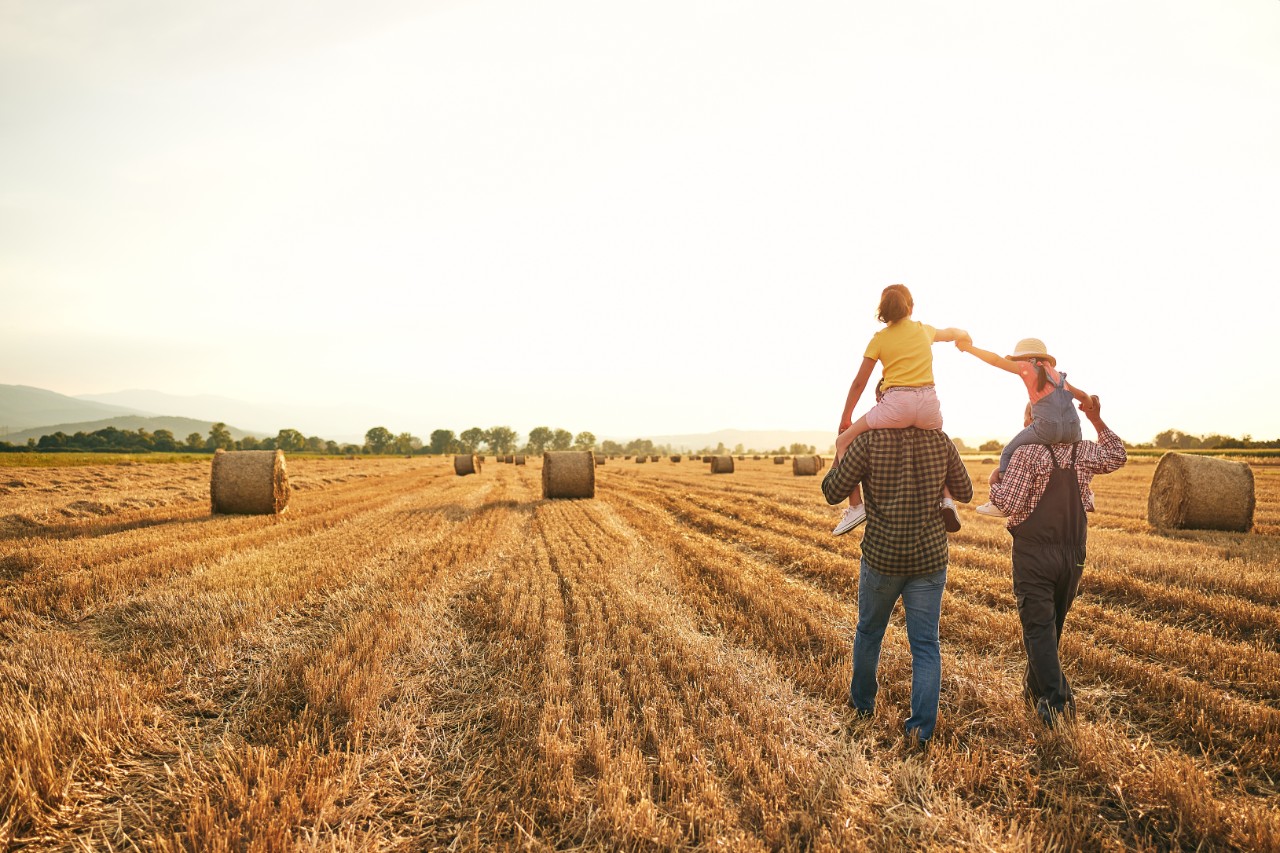 a family in a field