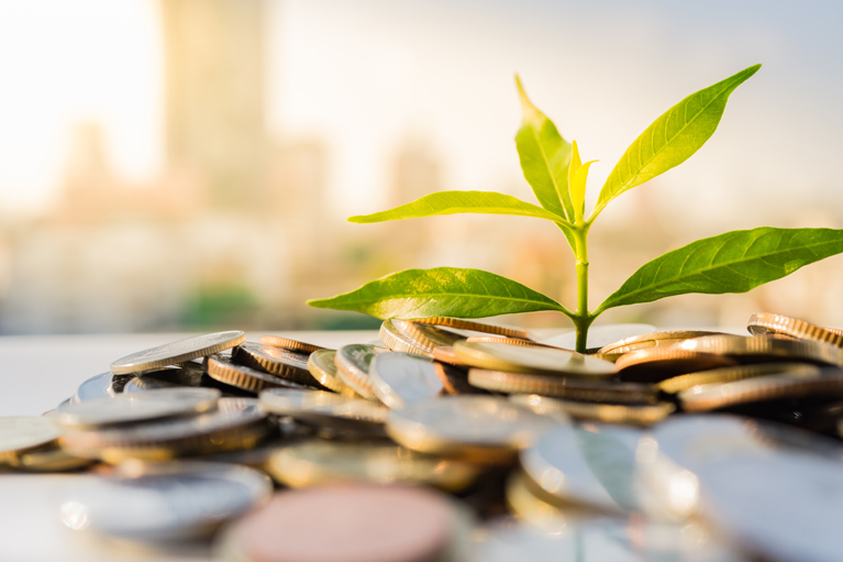 Growing plant with money aside