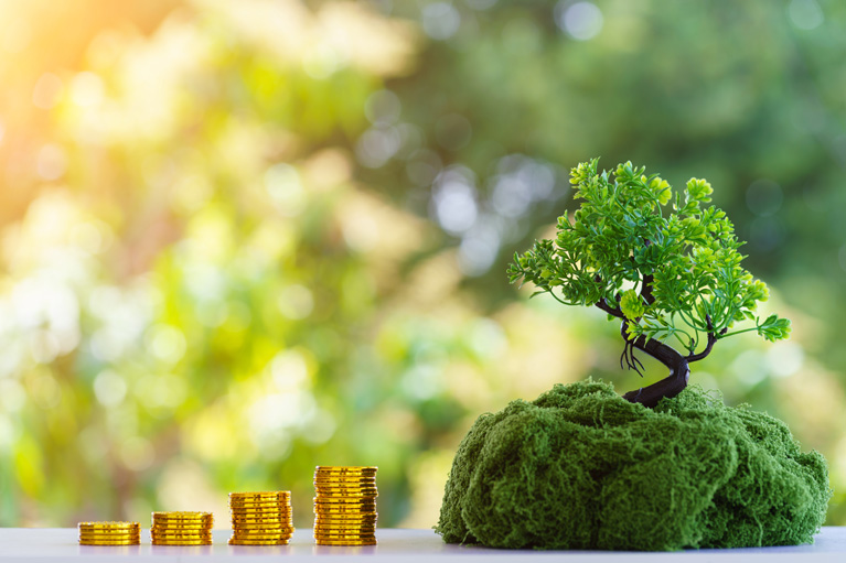 Growing tree with money aside