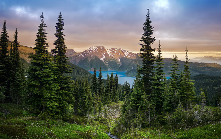 Image of a mountain near a green forest. 
