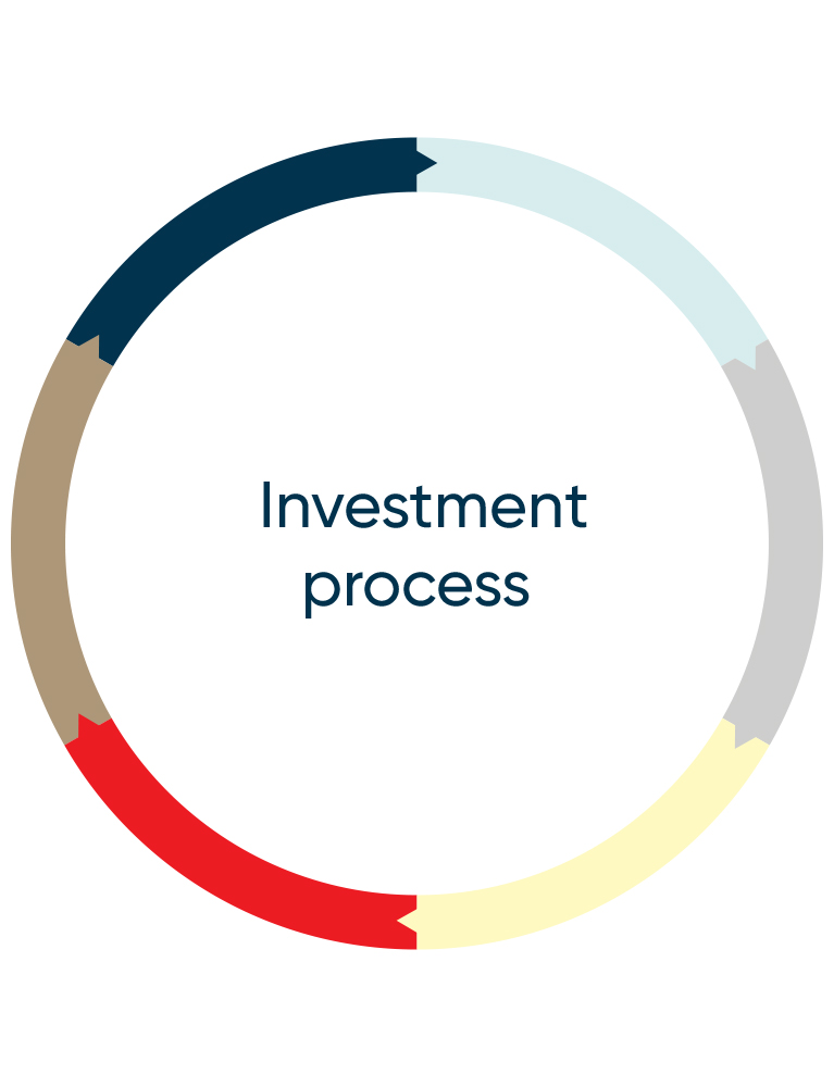 Circular chart illustrating the investment process.