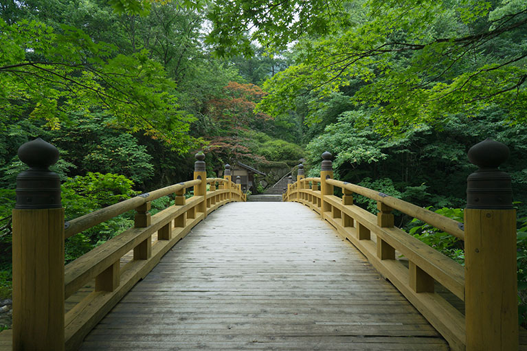 Image of a japanese bridge.