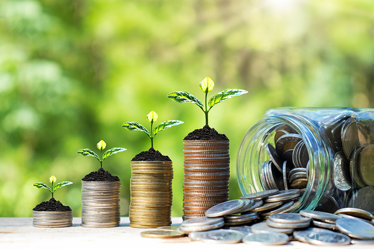 Plants that grow on coins