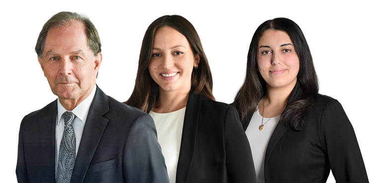 Image of the team mambers from left to right: Jeffrey Chisholm, Natalie Motyka and Mirna Henary..