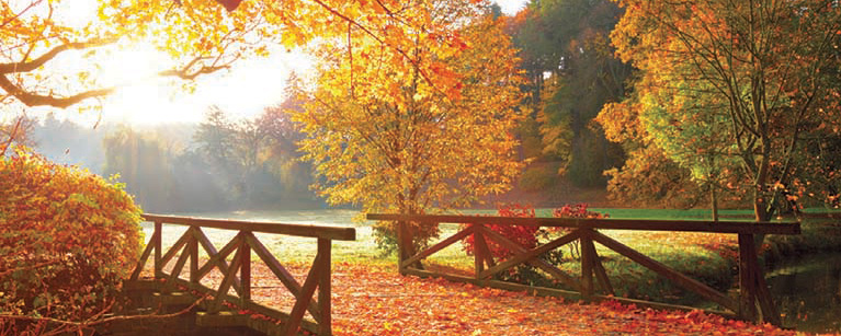 A bridge leading to a field in autumn with trees and orange leaves. 