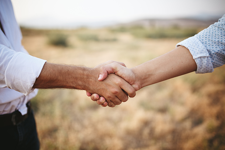 business hand shake on field.