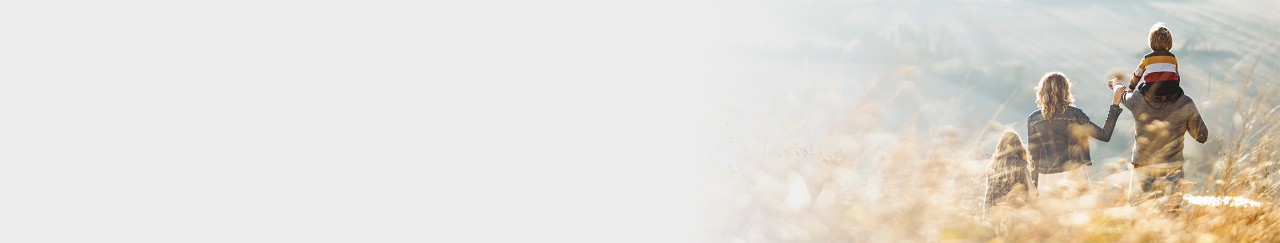 ban-home-silmser-wealth-management-group