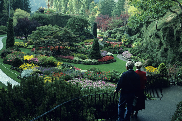 An old man and an old woman admiring a beautiful garden