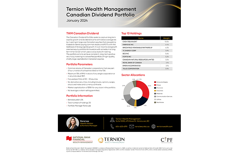 Image of Canadian dividend basket - Ternion Wealth Management
